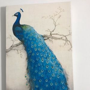 🌟 3 for 25 Canvas peacock wall hanging
